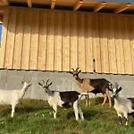 Rengethof