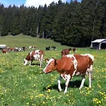 Rengethof Gospodarstwo agroturystyczne *