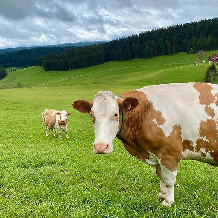 Farm stay Rengethof