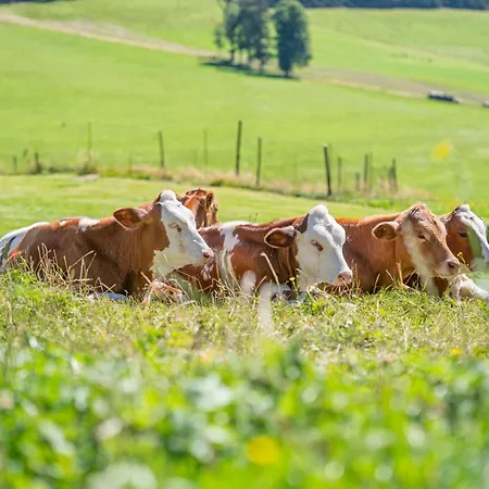 Rengethof Farm stay
