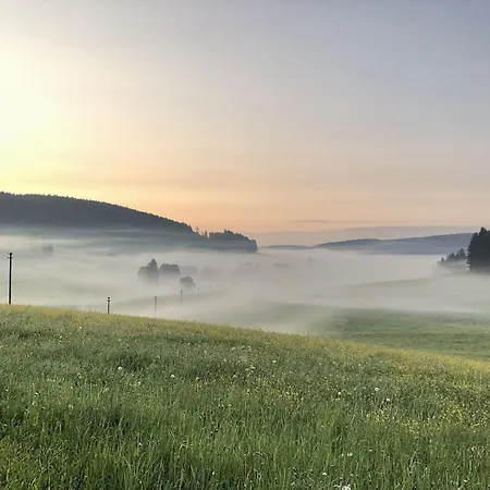 Rengethof * Eisenbach (Breisgau-Hochschwarzwald)