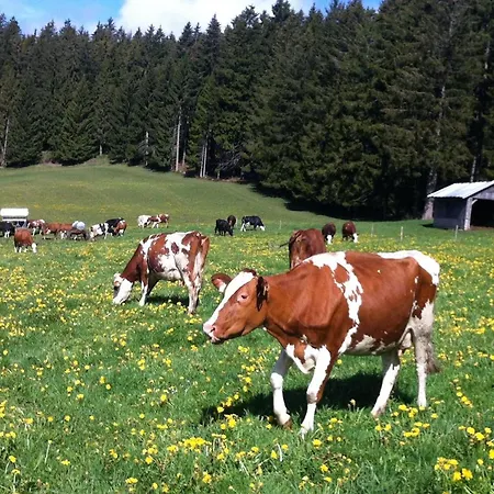 Rengethof Farm stay *