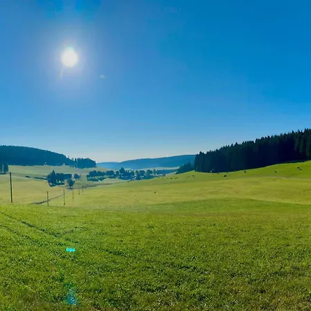 Rengethof Eisenbach (Breisgau-Hochschwarzwald)