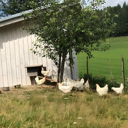 Farm stay Rengethof