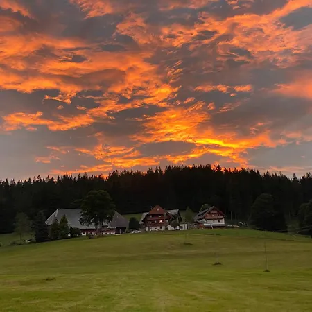 Rengethof