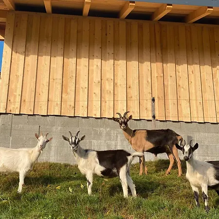 Rengethof Farm stay *