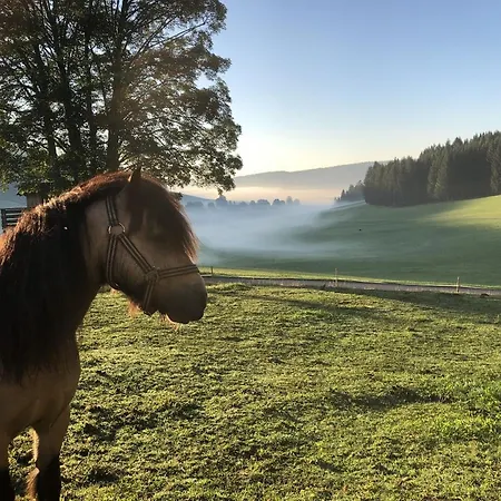 Farm stay Rengethof Eisenbach (Breisgau-Hochschwarzwald)