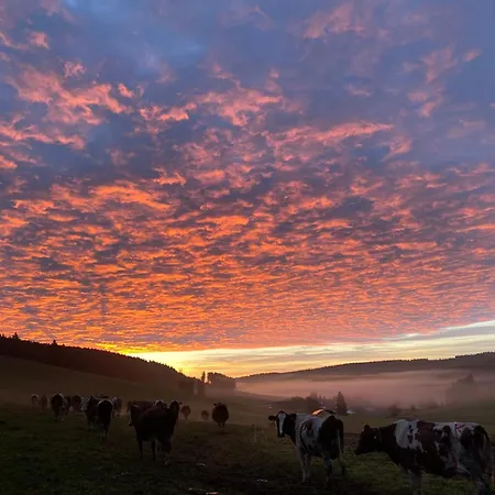 Gospodarstwo agroturystyczne Rengethof *