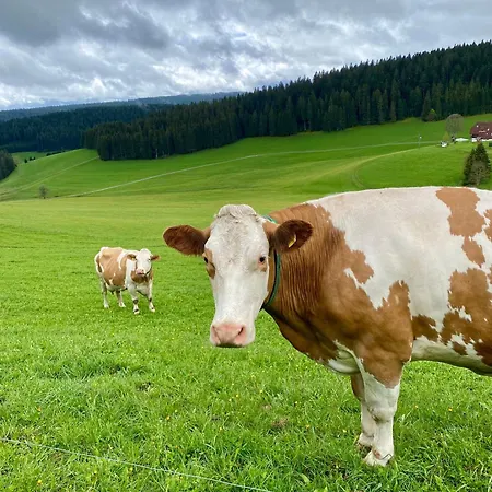Rengethof